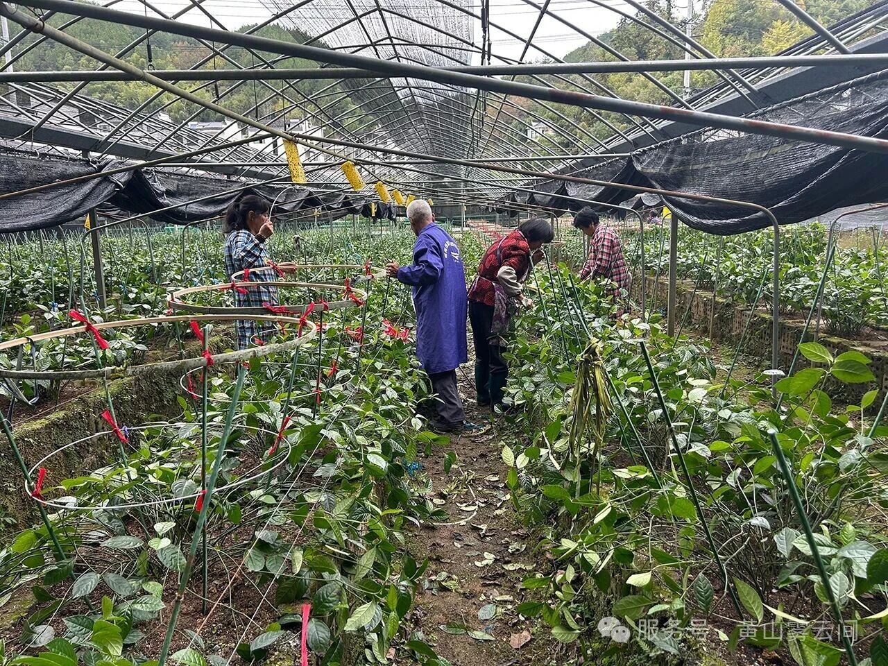 1762513894926736.jpg 89e749383d4c81bc3840b9fca6aa02e3.jpg