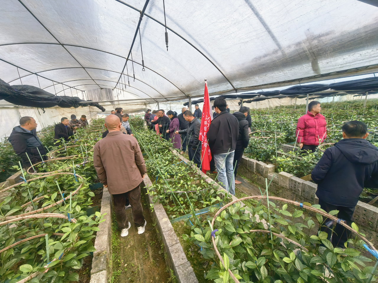 1765859030655397.jpg 5.jpg